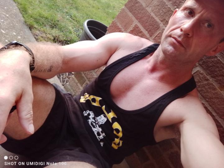 Dan Shane