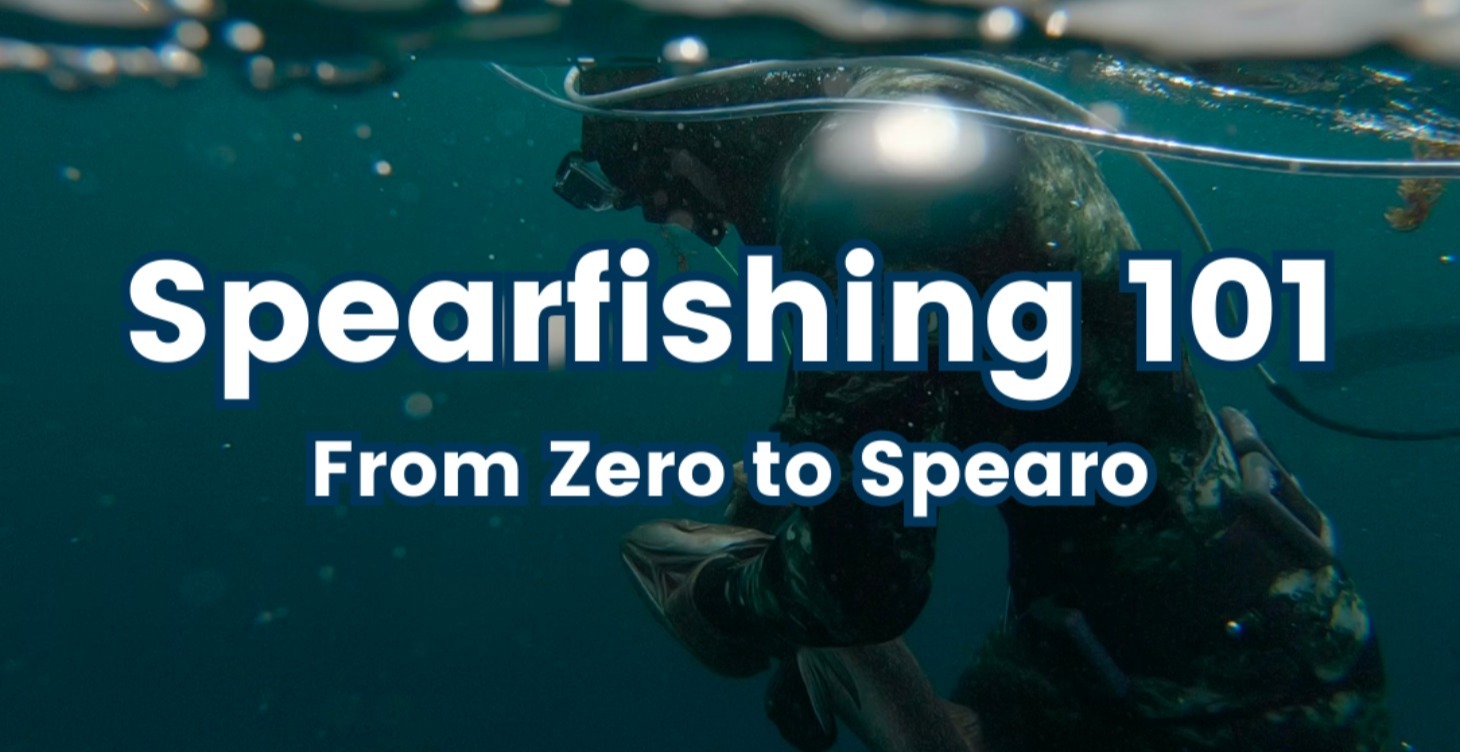 Spearfishing 101: From Zero to Spearo