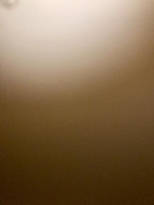 Sophie Dreihann-Holenia