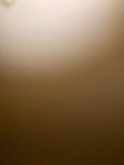 Sophie Dreihann-Holenia