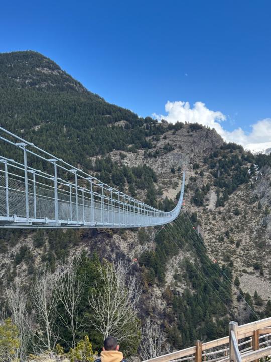 Estefania Galmes Greven