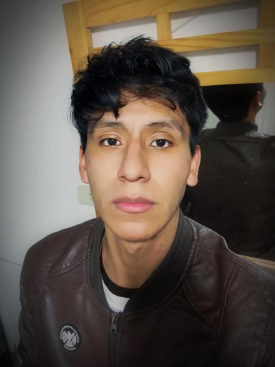 Sebastian Huaman tapia