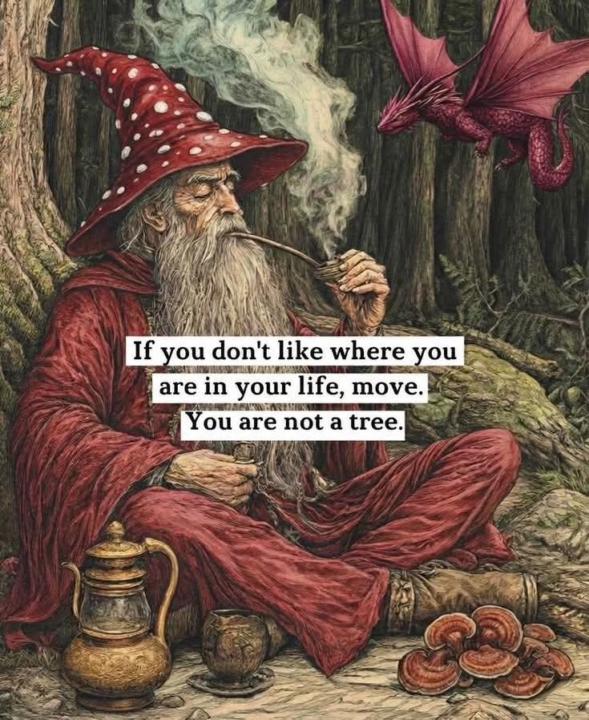 "If you don’t like where you are… move. You’re not a tree." 🌿