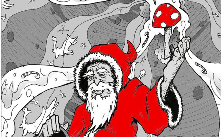 🎄✨ Christmas Offer – Forest Medicine for Body, Mind & Spirit ✨🎄