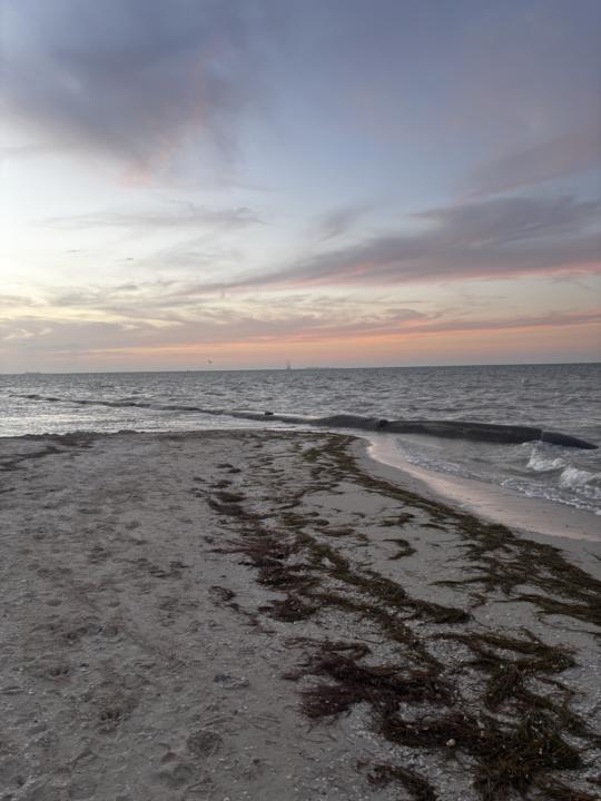 Memories of Mexico 🇲🇽❤️