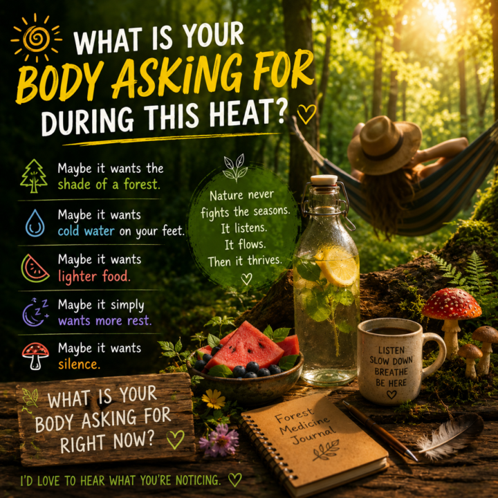 🌞 What is your body asking for during this heat?