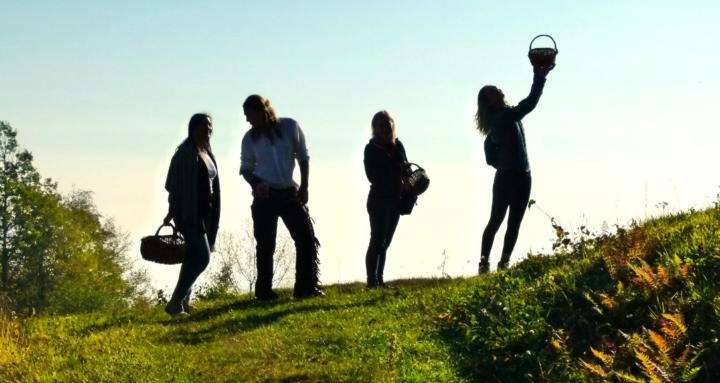 Dr. Fungi: Forest Wisdom Tribe