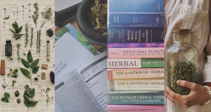 Herbalists Study Lab