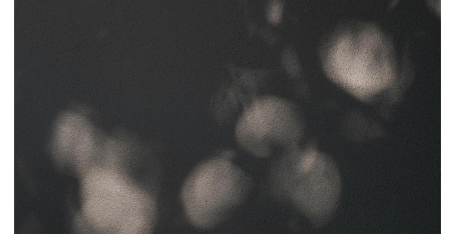 學完技術了，然後呢？