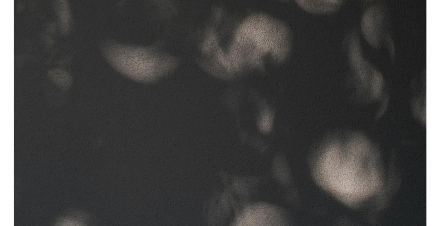 一對一帳號健檢