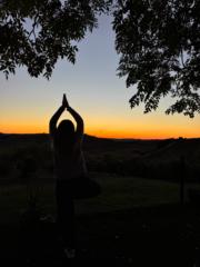 Mónica Toyos Doello