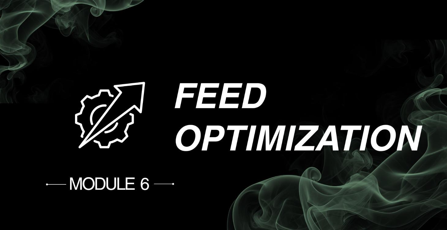 Google Ads Feed Optimization for Shopify