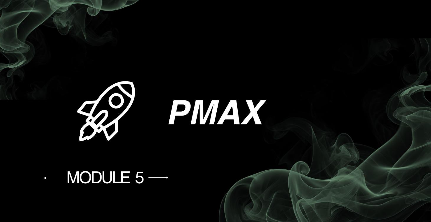 PMAX for eCom - Setup, Optimization & Scaling