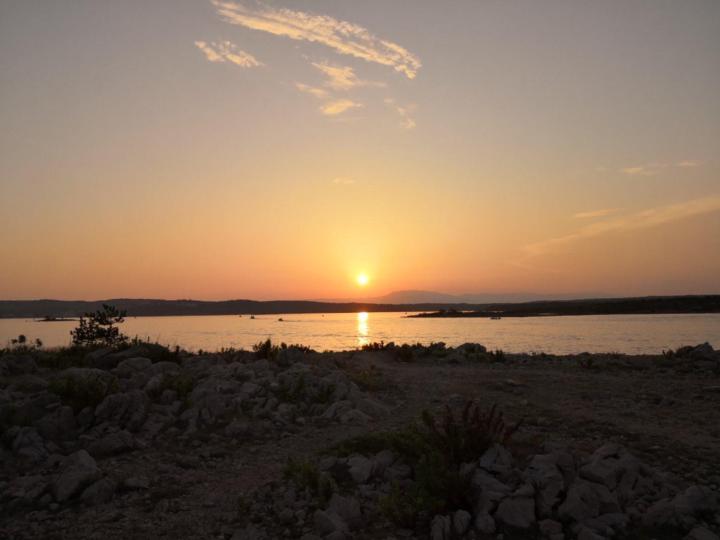 Dubravka Martinović