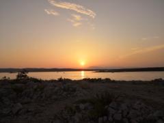 Dubravka Martinović