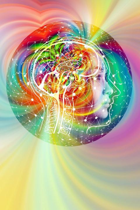 💚 Deine Intuition 💚 KW 34/2025 Health Mastery