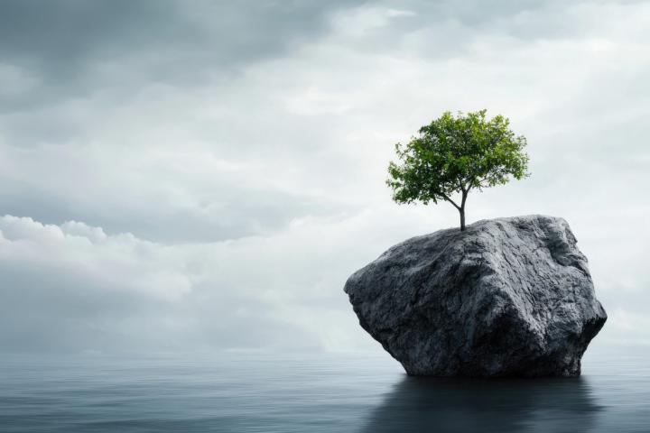 💚Resilienz durch Hypnosomatic® 💚 KW 30/2025 Health Mastery
