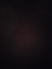 مهدی دهقان خلیلی