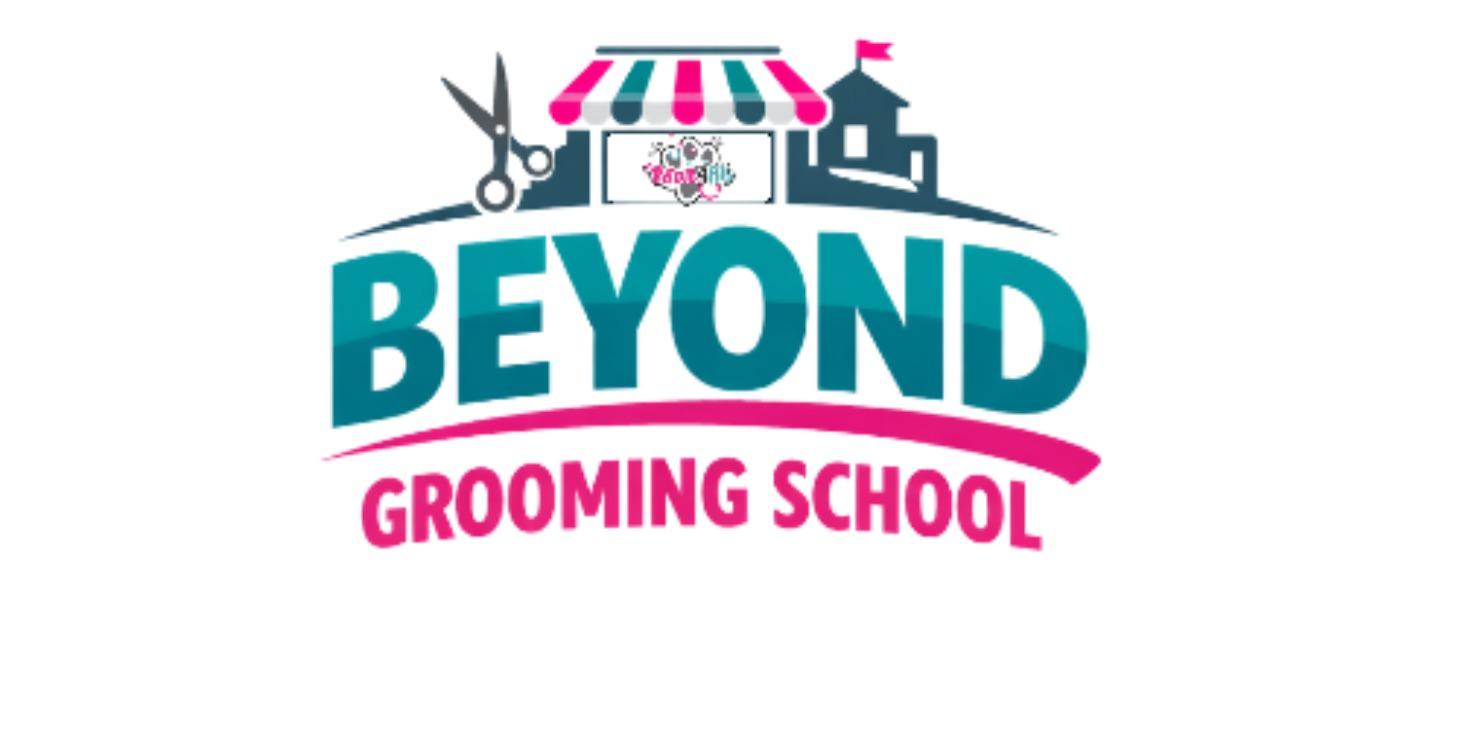 Pet Grooming Business Path Blueprint