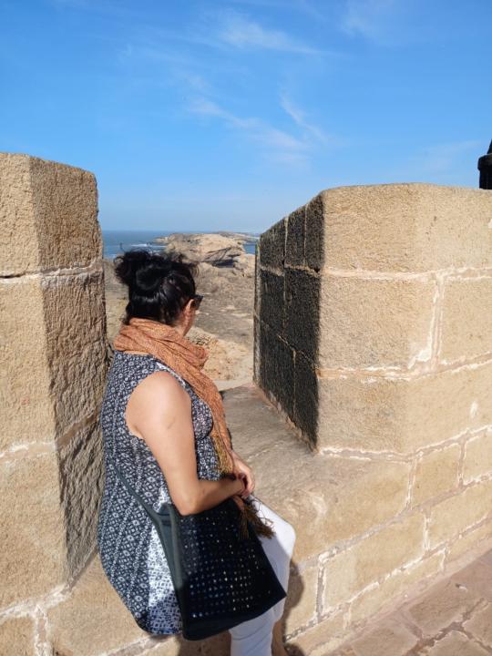 Roshni Sedani