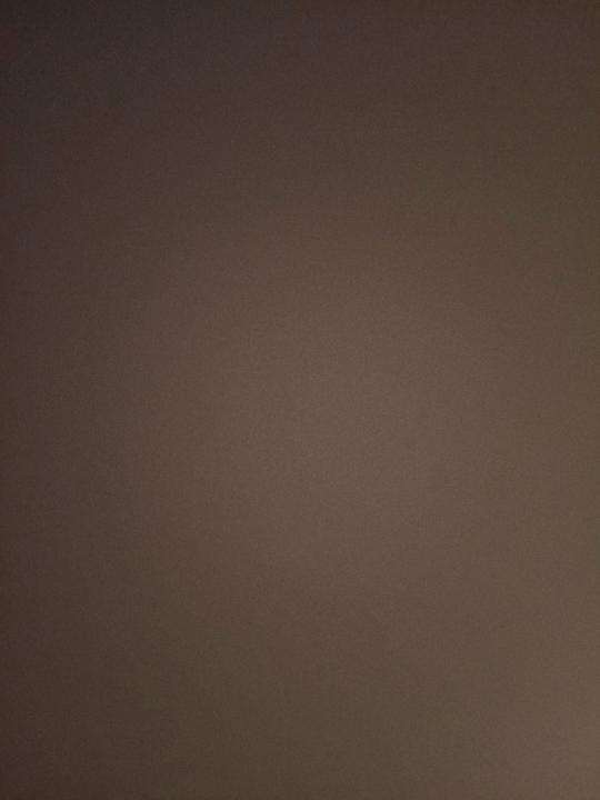 Carlos Antonio Muñoz