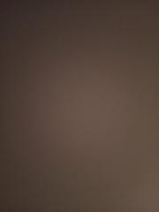 Carlos Antonio Muñoz