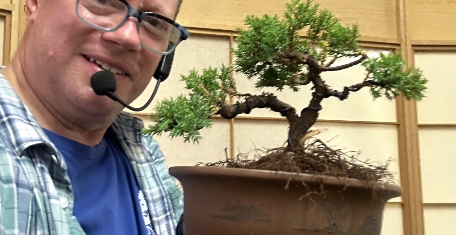 Making a Bonsai from Nursery Stock