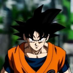 SanGoku X