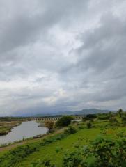 Bodem Sddl Aishwarya