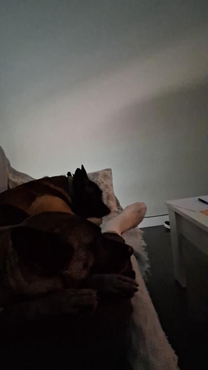 Jose david Fernandez cejudo