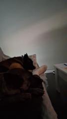 Jose david Fernandez cejudo