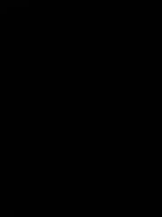Geo M