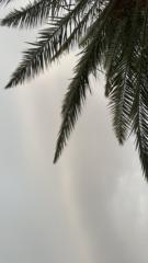 Duna Majid