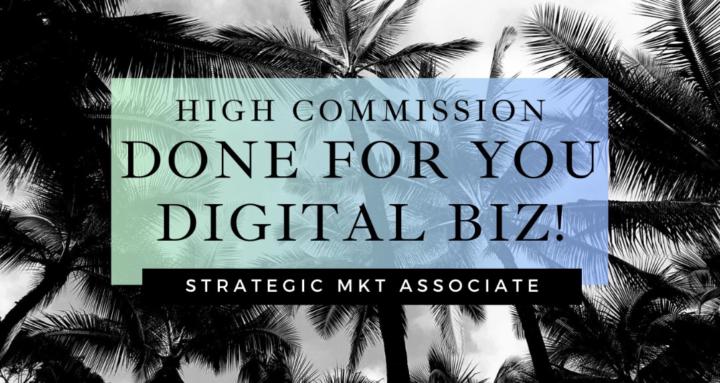 DFY Biz | SMA Training Hub