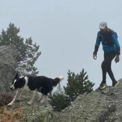Alfonso De la torre