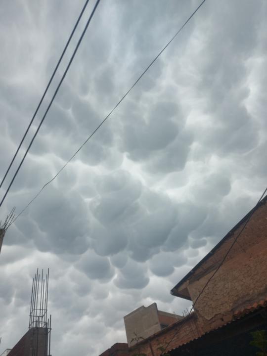 Maria Ines Martinez Espinoza