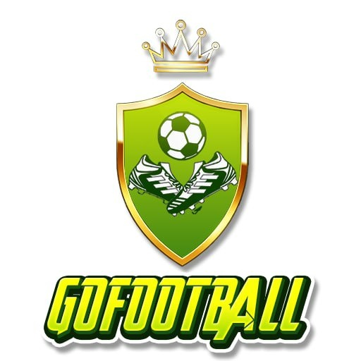 Gofoot Balltogo