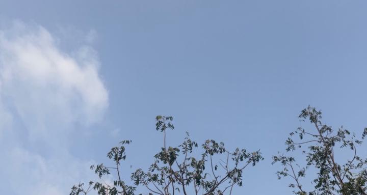 m0501227049@icloud.com