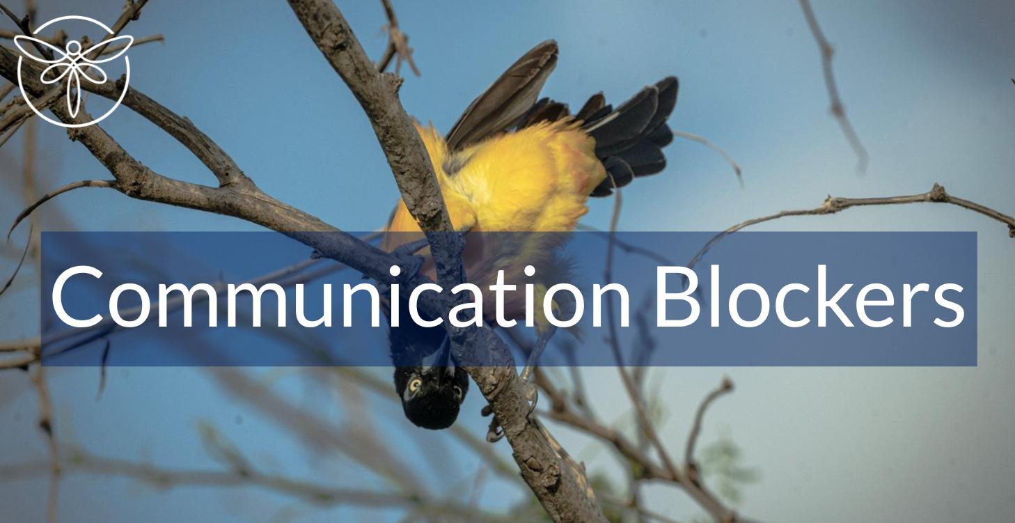 Communication Blockers Checkin
