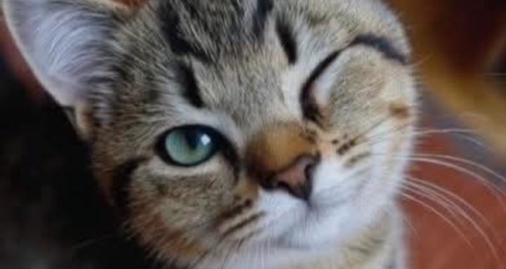 Manifesting and Consistency