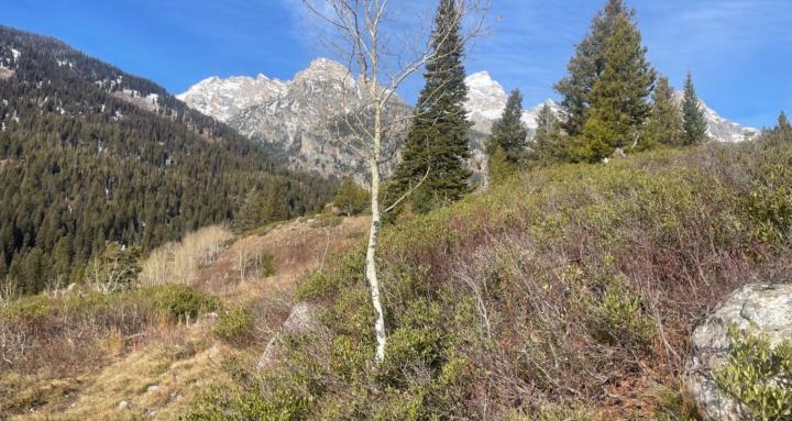 The Nomadic Wellness Club