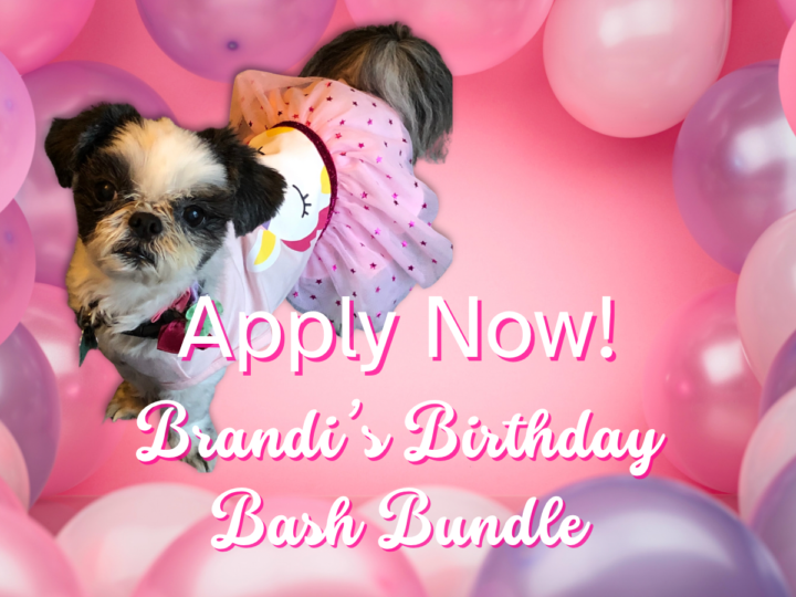 B2C Bundle Opportunity 