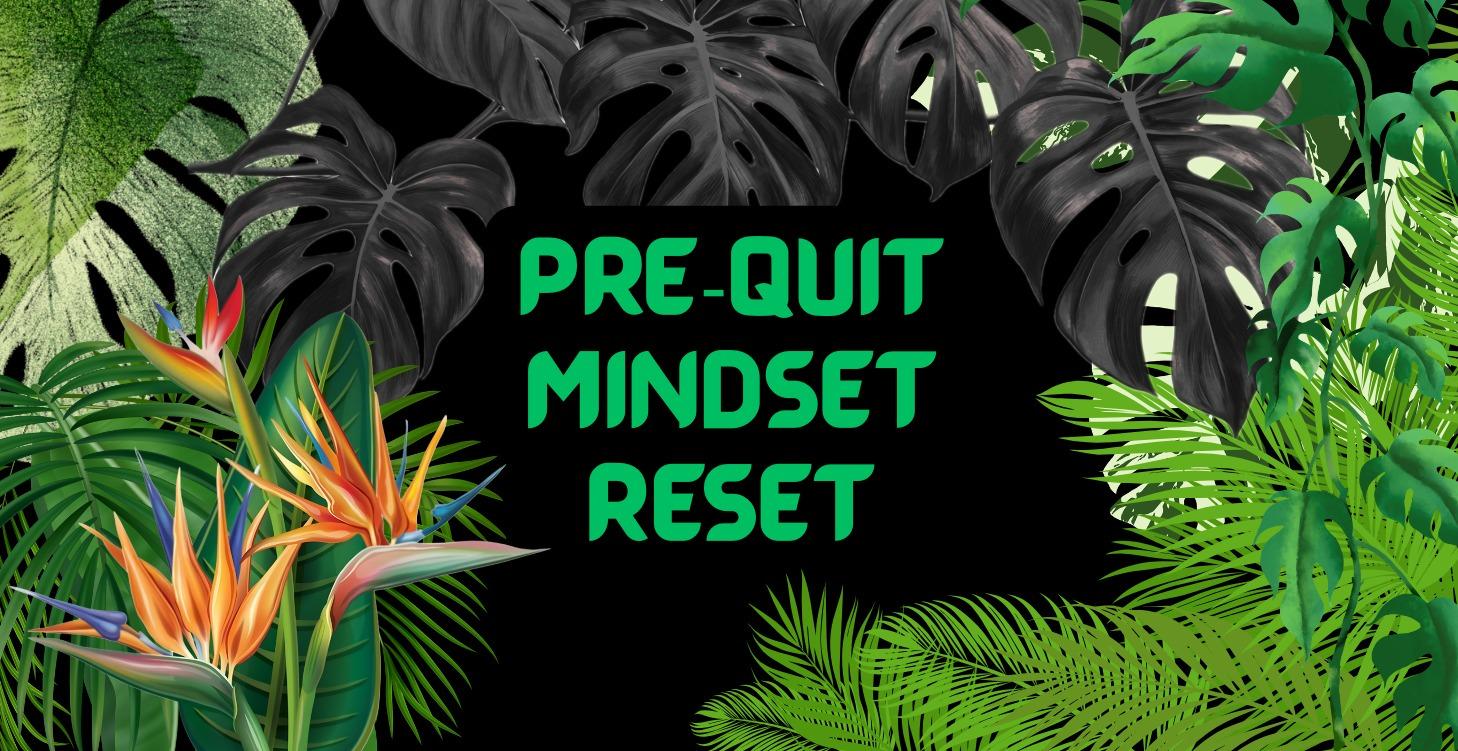 Pre-Quit Mindset Reset
