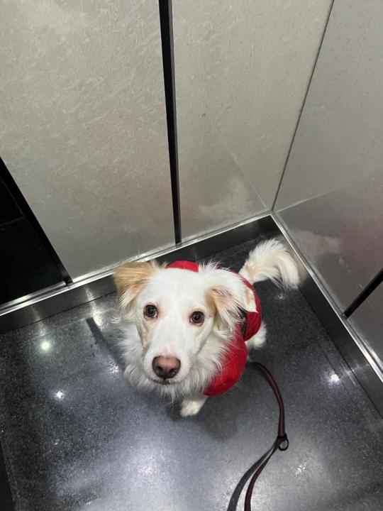 Michael Quiñonero Martin