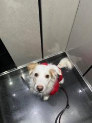 Michael Quiñonero Martin