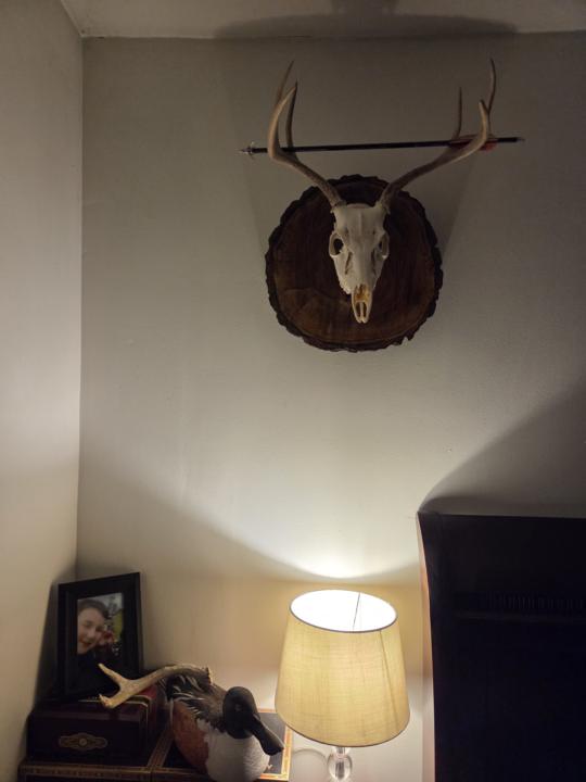 First european mount 