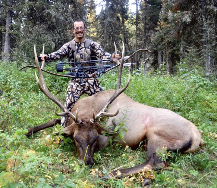 Recurve Bull Elk 