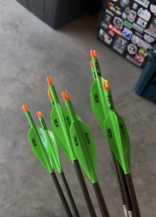 What type of arrows are y’all running for 3D? 