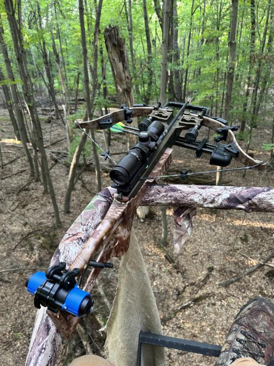 My bows