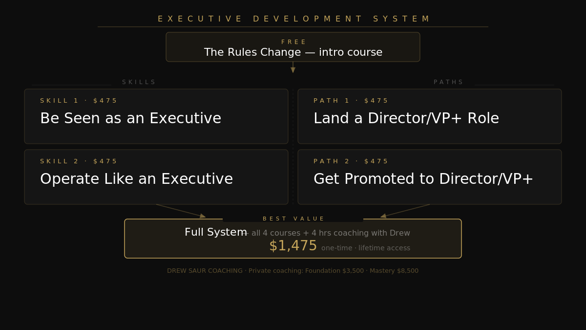 Drew Saur | Executive System
